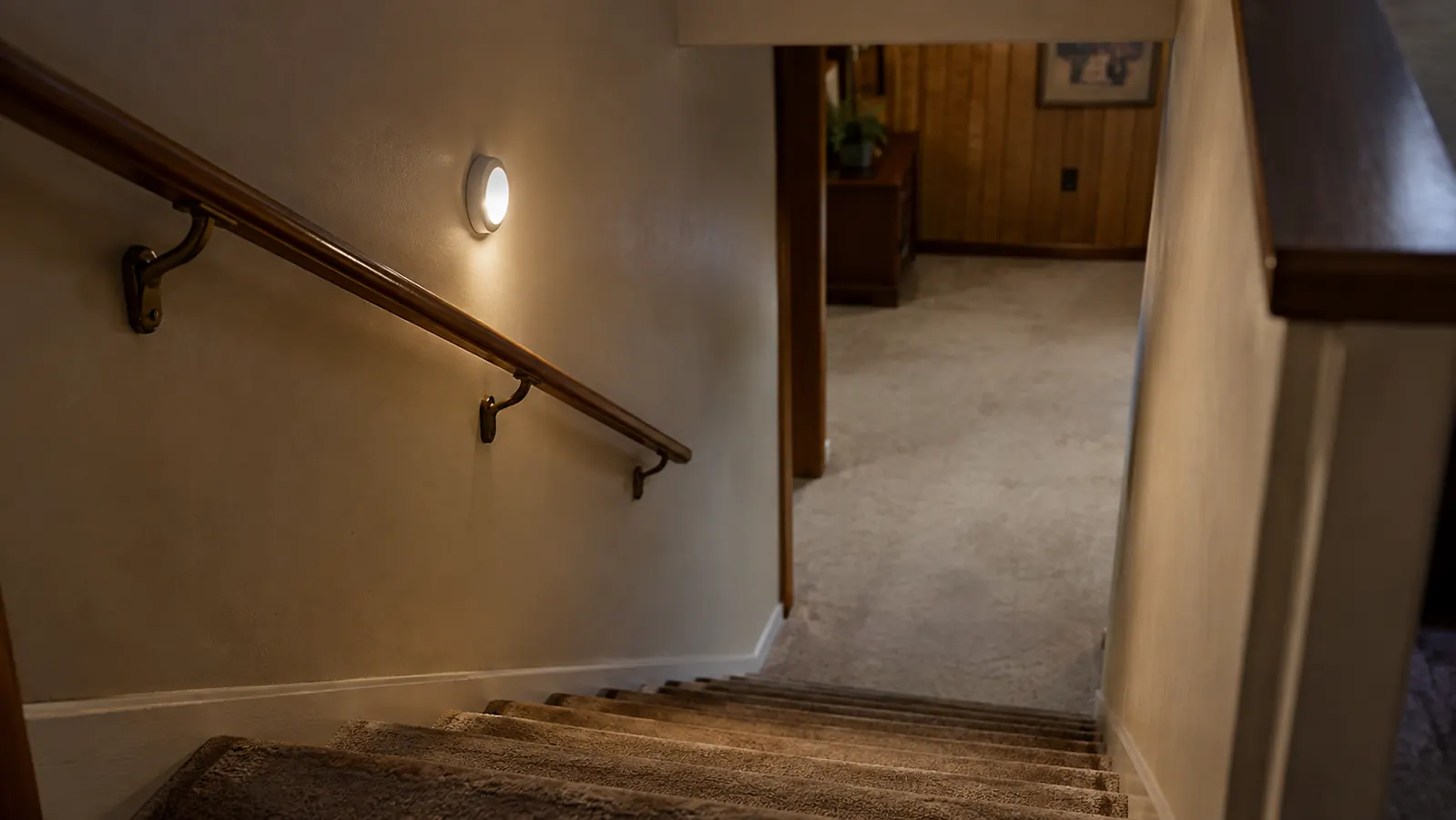 STAR-SPANGLED Puck Lights: The Honest Review After a Year of Battery Changes